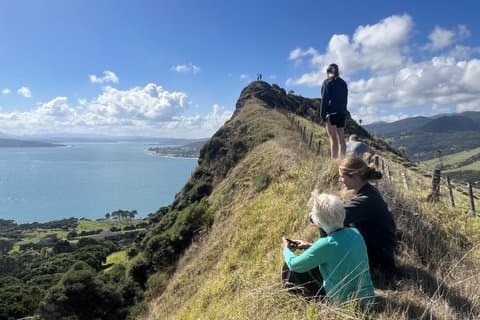 Private Hokianga Explorer