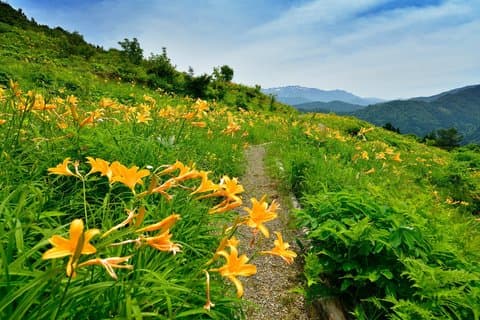 Hotell i nærheten av Hakusan Alpine Botanical Garden and Shiramine Bus Tour
