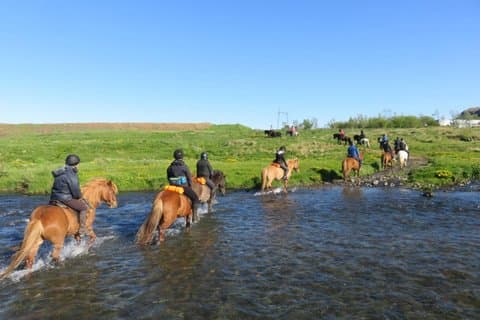 The Siggi Tour from Reykjavík: 1.5 to 2-Hour Ride