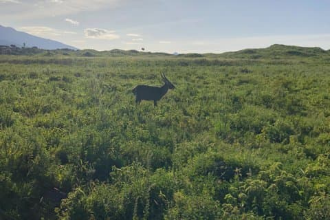 Escursione guidata privata di un giorno al Parco Nazionale di Arusha con pranzo