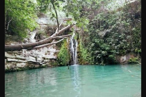 Adonis Baden Waterval Ochtendtransfer