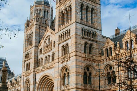 London 2 timer Natural History Museum guidet tur med prioriteret adgang