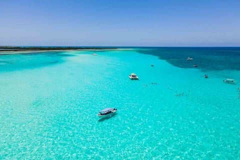 Top Cozumel Snorkel Experience : 4 Heures de Dîner sur les Récifs et les Îles