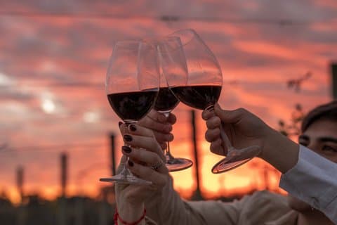 Excursão à Vinícola Gamboa com Degustação e Almoço Gourmet