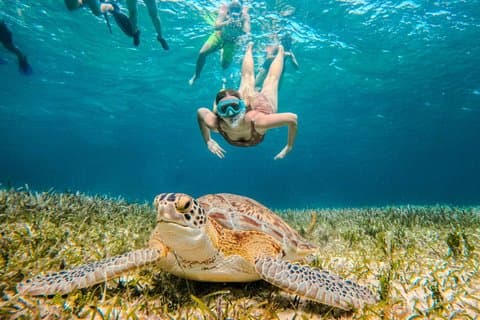 カタマラン亀礁とヒトデツアー(コズメル)