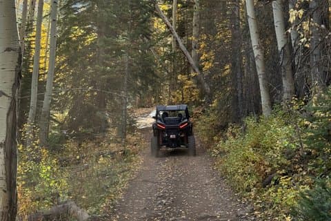 Uinta Mountains : Extreme 2 Hour UTV Adventure (2 Seat RZR)