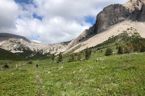 Naturalist Guided Hiking To Black Leaf Canyon