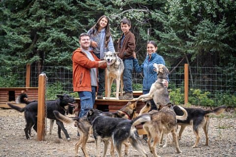 Expérience privée d'une heure et demie de chien de traîneau d'été