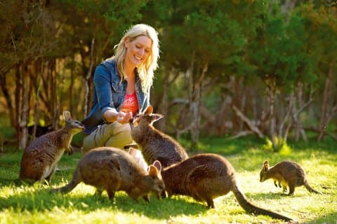 49ers Australian Experience con pranzo e cantina locale