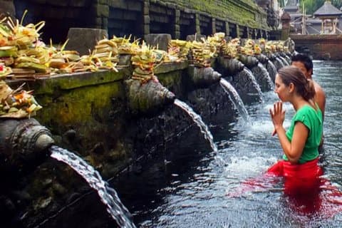Ubud Puripication Temple, Reisterrasse, Wasserfall & Affenwald