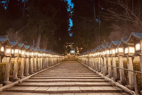 Ikoma Hozanji Temple Magical Night Walk Small Group