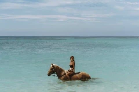 Bahamas Nassau Private Beach Horse Ride Sea Dip