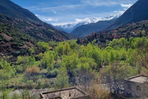 Gita di un giorno all'Alto Atlante nella Valle di Ourika