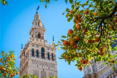 Besichtigung der Umgebung des Königlichen Alcázar und der Kathedrale von Sevilla sowie des jüdischen Viertels