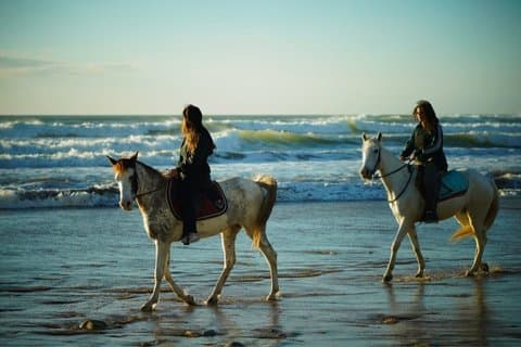 Centro equestre Agadir Tamraght Taghazout Ocean Horse