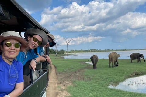Fra Ella All Inclusive Udawalawe Safari med transfer til stranden