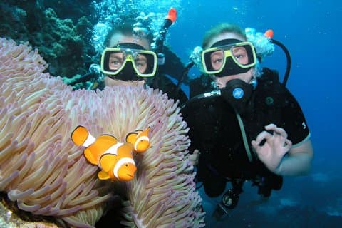 Excursión en barco de día completo para principiantes con almuerzo Hurghada
