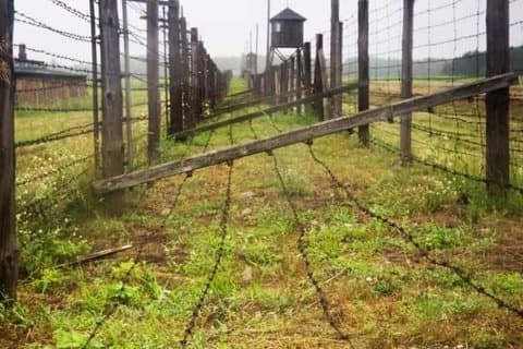 Tour zum Konzentrationslager Majdanek und Lublin von Warschau
