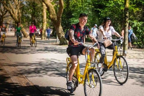 1 - Hour Amsterdam cykeltur