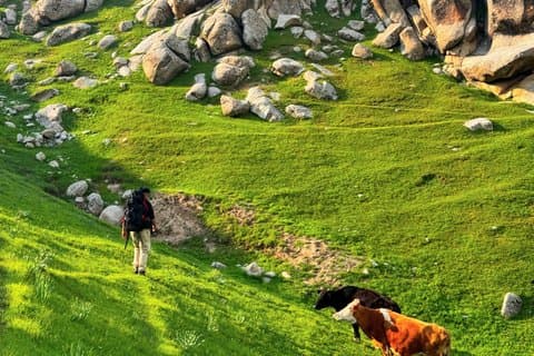 Samarkand: Scenic Hike & Mountain Escape in Ohalik Valley