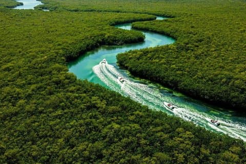 Excursion dans la jungle en bateau à moteur de Cancún : Cérémonie avec tuba et maya