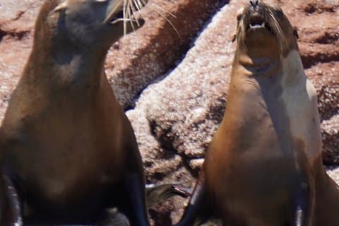 Archipiélago Isla Espíritu Santo