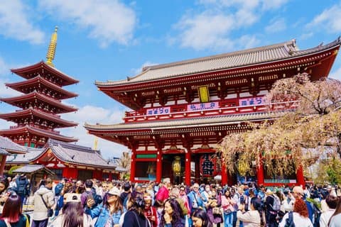 Tokyo Personalized Private Tour with a Local Guide