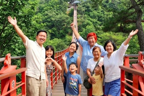 Seoul City Highlights Tour: Hanok Village, Scenic Routes