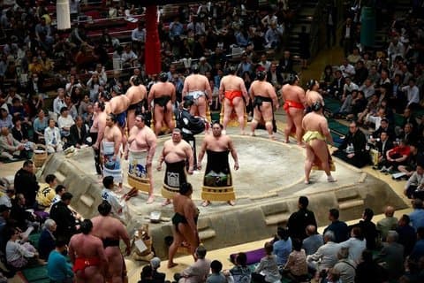 Fra Kyoto: Nagoya Sumo turnering med guide og reserveret plads