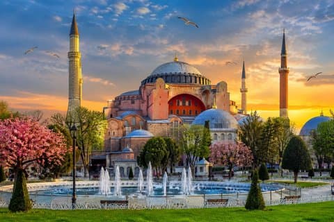 Excursion privée d'une journée à Istanbul pour les croisiéristes en voiture