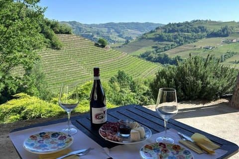 Private Winery and Vineyard Tour with Wine Tasting