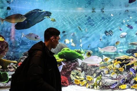 ソウルシーライフ水族館チケットと江南区オーディオウォーク