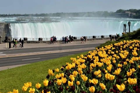 Från Toronto till Niagarafallen Privat sightseeingtur