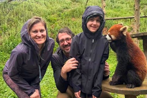レッサーパンダボランティア(オプショナル)付き都江岩パンダベースツアー