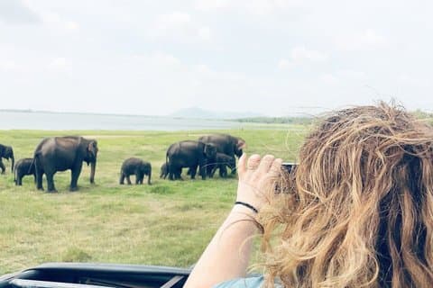 Esplora lo Sri Lanka in 7 notti 8 giorni