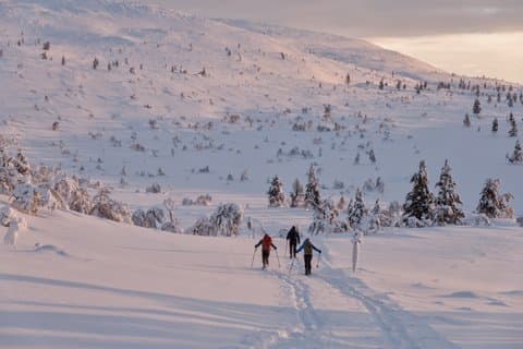 Tour de esquí de fondo en Ylläs Wilderness