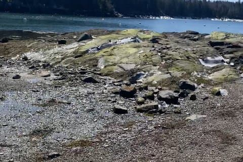 Van Tour of Mount Desert Island