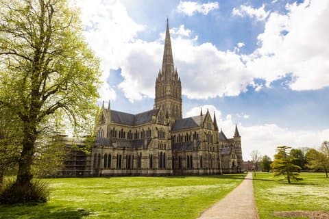Privat rundtur i New Forest och Salisbury Cathedral