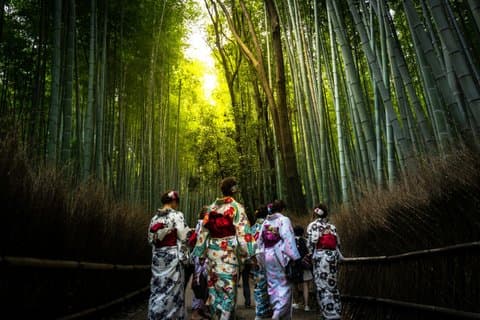 Arashiyama bambusskog og Zen-hage tur