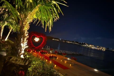 Surprise wedding Proposal with professional photographer