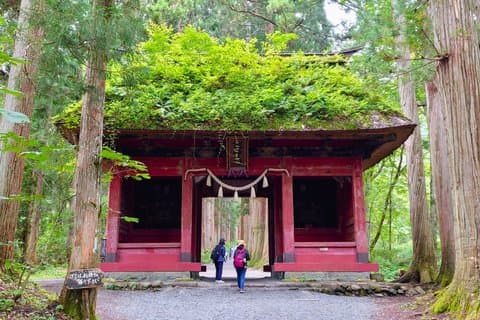 Ganztägige Snow Monkey Park und Togakushi Shrine Tour in Nagano