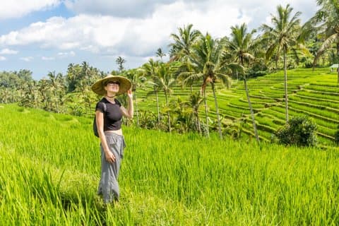 Bali UNESCO Riso Terrazza Bedugul Tempio Tanah Lot Tour privato