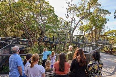 Sydney Taronga Zoo's Aussie Backyard Adventure Tour