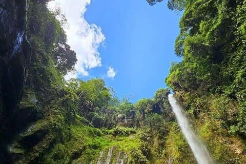Mount Meru Waterfall, Coffee Plantation and Arusha City Tour