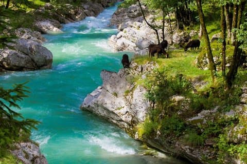 Det bedste af Slovenien og Italien Tolmin Trieste Dagstur fra Ljubljana