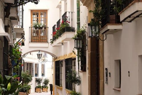 Excursión privada a Marbella y Puerto Banús desde el puerto de cruceros de Málaga