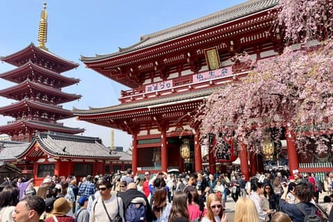 Tokyo Private Custom Tour med lokal guide og valgfri bil