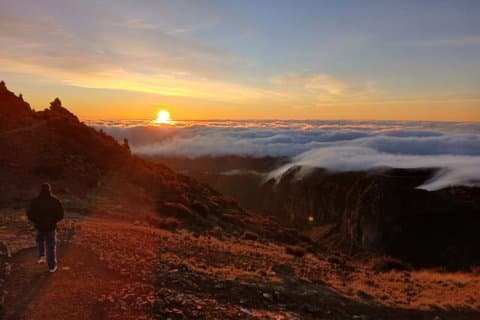 Madeira PR1 Trail Access Reservasjonstjeneste Ingen overføring