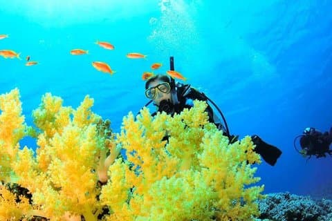 Nha Trang Snorkeling Tour avec déjeuner barbecue au Coral Reef