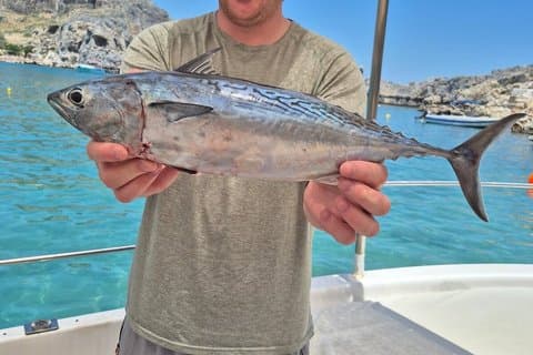 ALL FAMILY FUN: Fishing & Swimming with BBQ on Boat (Small Group)